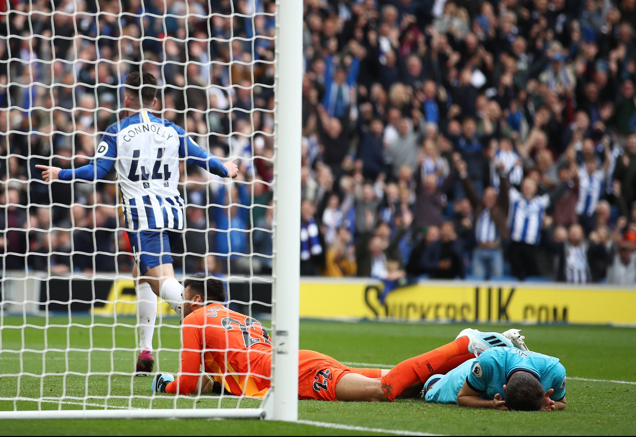 中国女排的 中国女排的